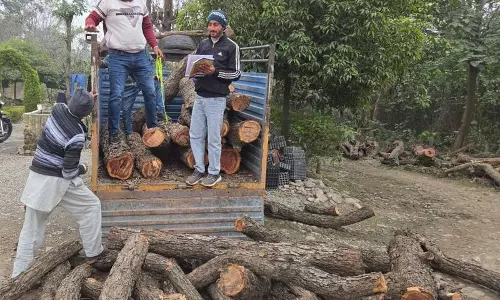 Yamunanagar जिले के संरक्षित क्षेत्र में 14 खैर के पेड़ काटे गए