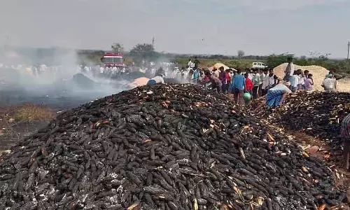 आग में ₹1.20 करोड़ की मक्के की फसल नष्ट: 19 प्रभावित किसानों की लिस्ट तैयार आग में ₹1.20 करोड़ की मक्के की फसल नष्ट: 19 प्रभावित किसानों की लिस्ट तैयार