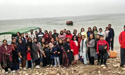 Himachal: टूरिस्ट ने नए साल के जश्न के लिए पोंग झील को चुना
