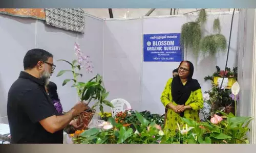Kerala : नर्सरी यूनिट ने सरस मेले के लिए बगीचा तैयार किया Kerala : नर्सरी यूनिट ने सरस मेले के लिए बगीचा तैयार किया