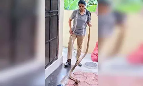 घर में Cobra ; वन विभाग के अधिकारियों ने उसे पकड़ा घर में Cobra ; वन विभाग के अधिकारियों ने उसे पकड़ा