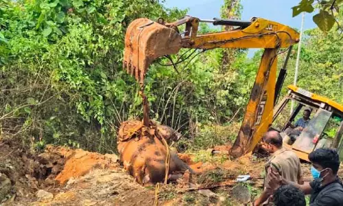 Kerala ; कुएं में गिरे हाथी के बच्चे का शव मिला Kerala ; कुएं में गिरे हाथी के बच्चे का शव मिला