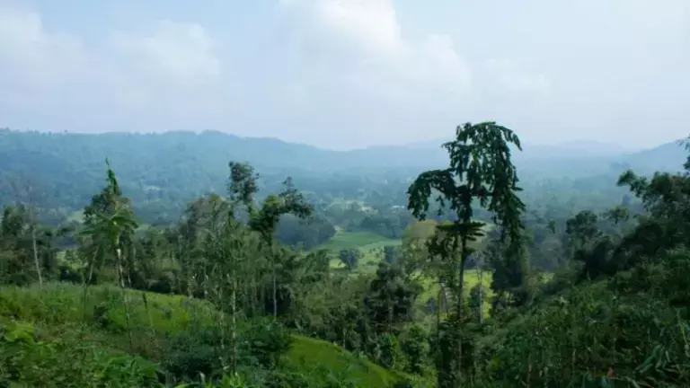 Assam सरकार पर कार्बी आंगलोंग में कॉर्पोरेट पावर प्रोजेक्ट्स बढ़ाने का आरोप