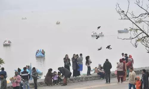 Chandigarh ट्राइसिटी में आज घने कोहरे और कड़ाके की ठंड का रेड अलर्ट जारी