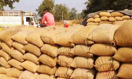 Odisha ने धान खरीद के लिए आधार-आधारित पेमेंट सिस्टम लॉन्च किया Odisha ने धान खरीद के लिए आधार-आधारित पेमेंट सिस्टम लॉन्च किया