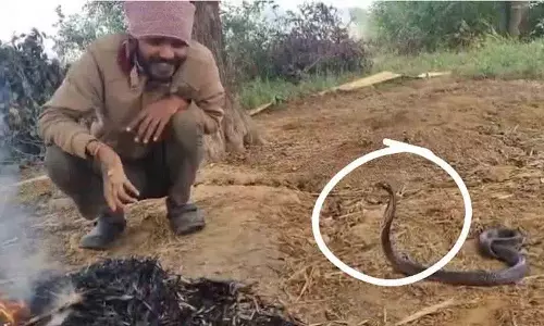 Chhatarpur में सांप के साथ आदमी की मज़ेदार बातचीत वायरल हो गई Chhatarpur में सांप के साथ आदमी की मज़ेदार बातचीत वायरल हो गई