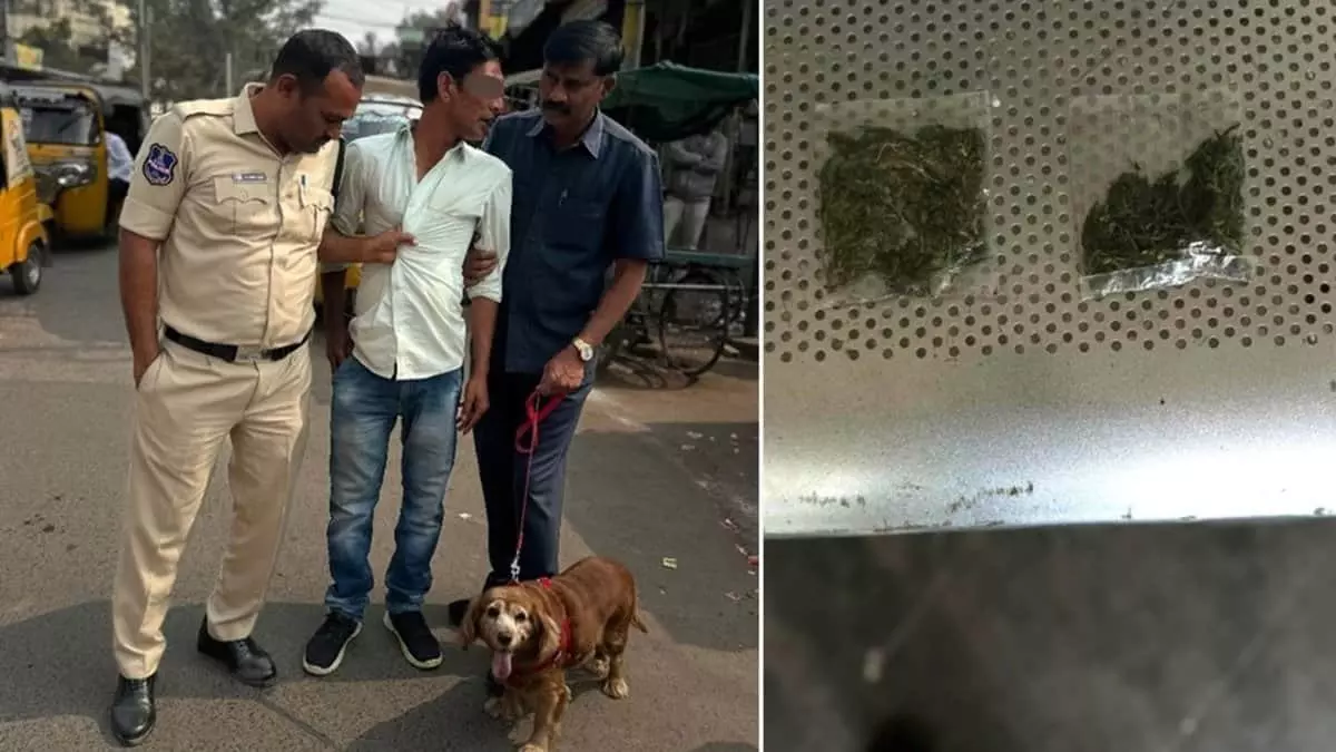 Hyderabad: नारकोटिक्स डिटेक्शन डॉग ‘रोमा’ ने आदिलाबाद में गांजा सूंघा Hyderabad: नारकोटिक्स डिटेक्शन डॉग ‘रोमा’ ने आदिलाबाद में गांजा सूंघा
