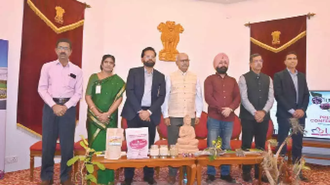 Telangana: उद्यान उत्सव का दूसरा एडिशन राष्ट्रपति निलयम में होगा Telangana: उद्यान उत्सव का दूसरा एडिशन राष्ट्रपति निलयम में होगा