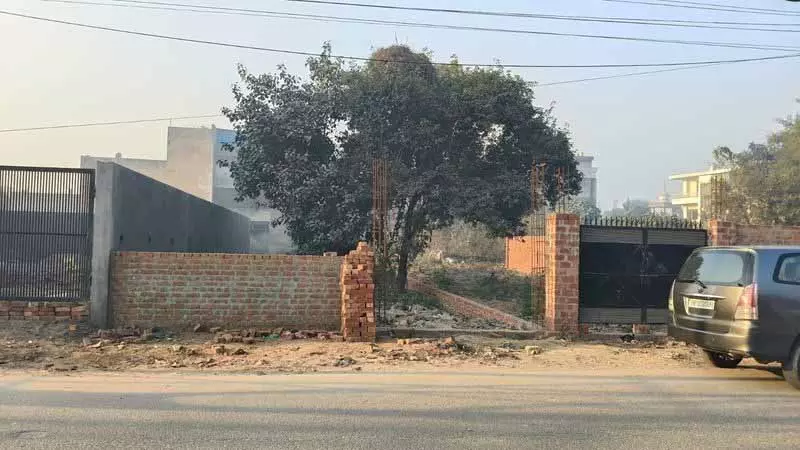 Jalandhar में प्लॉट पर सफाई न करने पर 204 मालिकों को नोटिस दिया गया Jalandhar में प्लॉट पर सफाई न करने पर 204 मालिकों को नोटिस दिया गया
