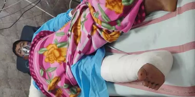 शिकारियों के तार के जाल के संपर्क में आने से गजमित्र की हालत गंभीर शिकारियों के तार के जाल के संपर्क में आने से गजमित्र की हालत गंभीर