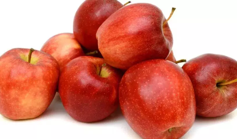 Apple: इस फल को रोज़ाना एक मात्रा में खाने से सेहत को कई शानदार फ़ायदे होते Apple: इस फल को रोज़ाना एक मात्रा में खाने से सेहत को कई शानदार फ़ायदे होते