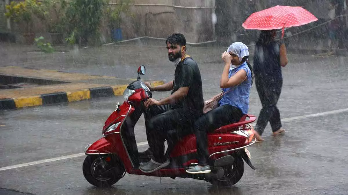 Maharashtra : जनवरी में बेमौसम बारिश से मुंबई, ठाणे और पालघर में हेल्थ अलर्ट जारी Maharashtra : जनवरी में बेमौसम बारिश से मुंबई, ठाणे और पालघर में हेल्थ अलर्ट जारी