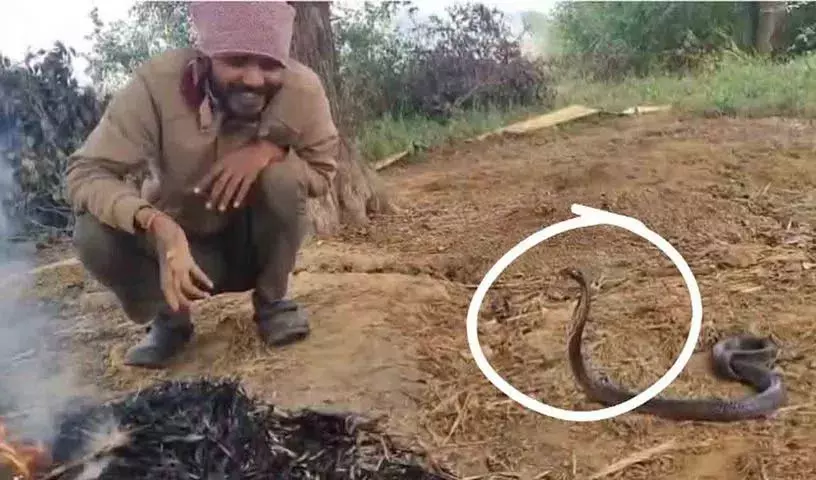 Chhatarpur में सांप के साथ आदमी की मज़ेदार बातचीत वायरल हो गई Chhatarpur में सांप के साथ आदमी की मज़ेदार बातचीत वायरल हो गई