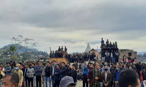 नागालैंड: PAPO ने 30 दिसंबर की घटना की निंदा नागालैंड: PAPO ने 30 दिसंबर की घटना की निंदा