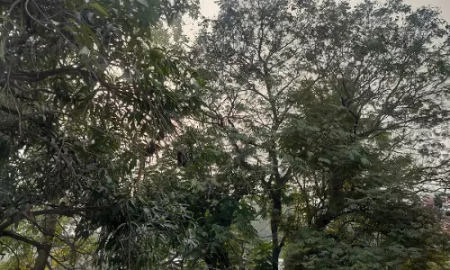 मौसम में बदलाव, बदली छाई, हल्की बारिश के आसार मौसम में बदलाव, बदली छाई, हल्की बारिश के आसार