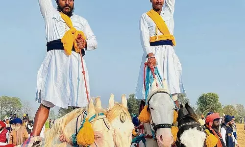 Haryana : मुख्यमंत्री ने कहा कि निहंगों ने हमेशा धर्म और देश की रक्षा की Haryana : मुख्यमंत्री ने कहा कि निहंगों ने हमेशा धर्म और देश की रक्षा की