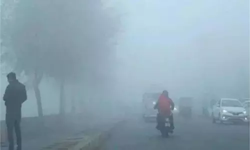 Uttarakhand Weather: मैदानी इलाकों में अगले दो-तीन दिन छाया रहेगा घना कोहरा,  अलर्ट