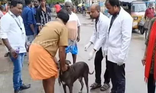 Chennai: स्पेशल एंटी-रेबीज ड्राइव में 1.47 लाख से ज़्यादा आवारा कुत्तों को वैक्सीन लगाई गई