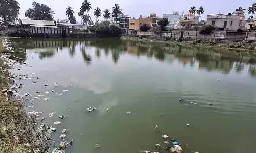 विट्ठलेश्वर कल्याणी, कचरे से अटा पड़ा दूषित पानी: महामारी का डर विट्ठलेश्वर कल्याणी, कचरे से अटा पड़ा दूषित पानी: महामारी का डर