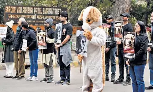 पेटा इंडिया ने आवारा जानवरों को आजीवन कैद में रखने का विरोध किया पेटा इंडिया ने आवारा जानवरों को आजीवन कैद में रखने का विरोध किया