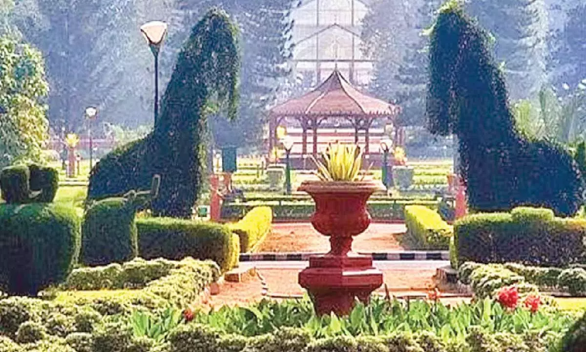 Karnataka: राज्य सरकार बैयप्पनहल्ली में 65 एकड़ का ट्री पार्क विकसित करेगी Karnataka: राज्य सरकार बैयप्पनहल्ली में 65 एकड़ का ट्री पार्क विकसित करेगी