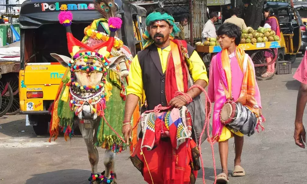 Andhra : गोदावरी के गांवों में संक्रांति संबरालू शुरू