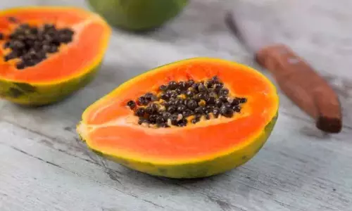 रोज़ाना Papaya खाने से ये शानदार हेल्थ बेनिफिट्स मिल सकते रोज़ाना Papaya खाने से ये शानदार हेल्थ बेनिफिट्स मिल सकते