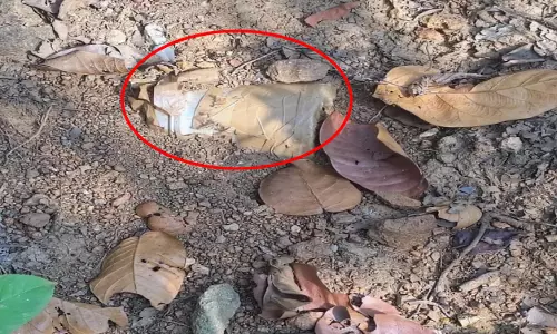 मालेवाही में नक्सलियों का IED प्लान फेल, सुरक्षाबलों ने बरामद कर किया नष्ट मालेवाही में नक्सलियों का IED प्लान फेल, सुरक्षाबलों ने बरामद कर किया नष्ट