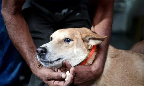 Delhi सरकार ने मानव रेबीज को सूचित करने योग्य रोग घोषित किया