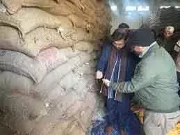 मंत्री शर्मा ने एफसीआई गोदामों का औचक दौरा किया मंत्री शर्मा ने एफसीआई गोदामों का औचक दौरा किया