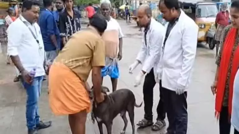Chennai: स्पेशल एंटी-रेबीज ड्राइव में 1.47 लाख से ज़्यादा आवारा कुत्तों को वैक्सीन लगाई गई Chennai: स्पेशल एंटी-रेबीज ड्राइव में 1.47 लाख से ज़्यादा आवारा कुत्तों को वैक्सीन लगाई गई