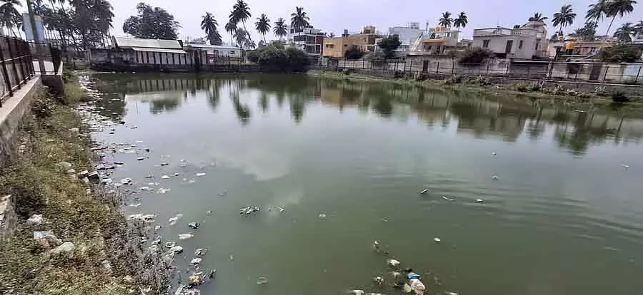 विट्ठलेश्वर कल्याणी, कचरे से अटा पड़ा दूषित पानी: महामारी का डर विट्ठलेश्वर कल्याणी, कचरे से अटा पड़ा दूषित पानी: महामारी का डर