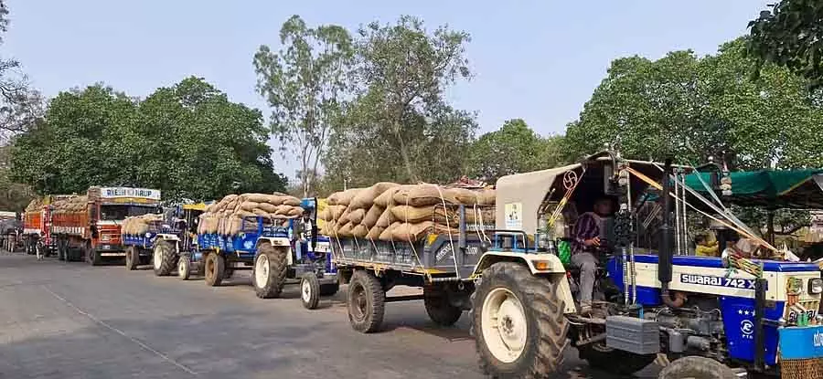 Gadag : मक्का की खरीद से भ्रम की स्थिति Gadag : मक्का की खरीद से भ्रम की स्थिति