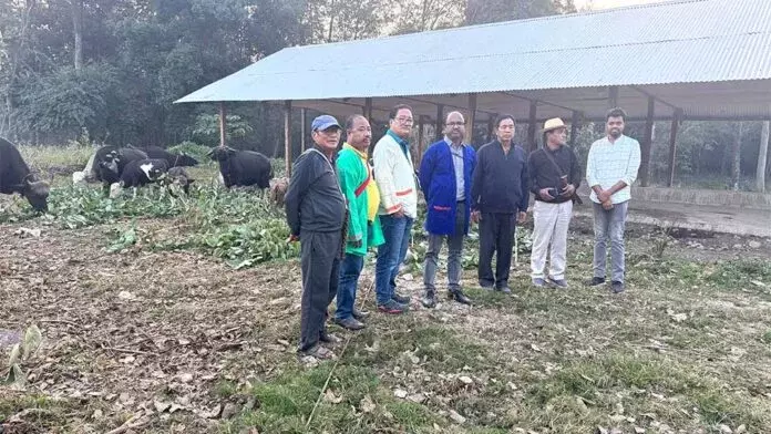 Nagaland: ICAR ने मिथुन पर किसान-वैज्ञानिक बातचीत की
