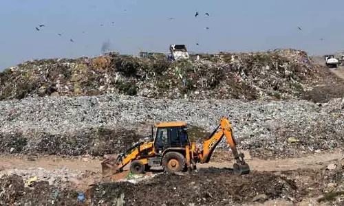 पूर्व ZP सदस्य ने भिवानी में खराब सफाई व्यवस्था पर चिंता जताई पूर्व ZP सदस्य ने भिवानी में खराब सफाई व्यवस्था पर चिंता जताई