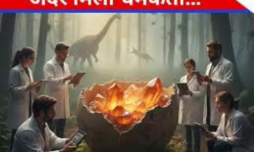 Premanand Ji Maharaj: प्रेमानंद महाराज की इन महत्वपूर्ण बातों को अपनाएं, खुलेंगे तरक्की के नए रास्ते