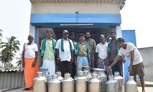 Tamil Nadu: किसानों ने आविन भुगतान में देरी पर उठाई आवाज़