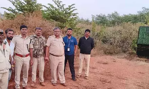 Hubli : तेंदुआ जाल से भागा; लोग चिंतित Hubli : तेंदुआ जाल से भागा; लोग चिंतित
