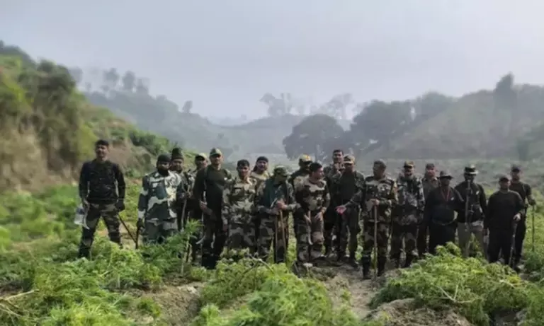 Tripura: सिपाहीजला में ड्रग्स की बड़ी खेप नष्ट, 100 करोड़ का नुकसान टला