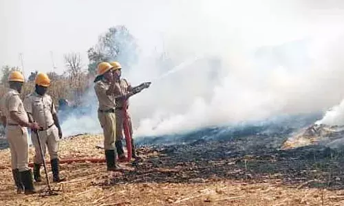 Harapanahalli : मक्के के चारे के 10 ढेर जलकर राख हो गए Harapanahalli : मक्के के चारे के 10 ढेर जलकर राख हो गए