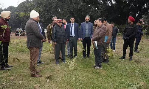 Punjab के राज्यपाल ने चंडीगढ़ में 9 जगहों पर पौधारोपण कार्य का निरीक्षण किया