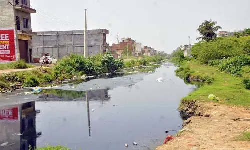 Amritsar: तुंग धाब नाले से प्रदूषण से स्थानीय लोग गुस्से में हैं