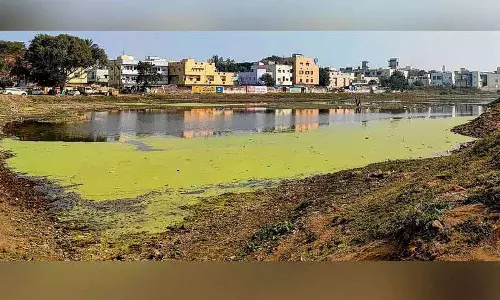 Secunderabad की रमन्नाकुंटा झील शैवाल, अनदेखी और अतिक्रमण से परेशान है Secunderabad की रमन्नाकुंटा झील शैवाल, अनदेखी और अतिक्रमण से परेशान है