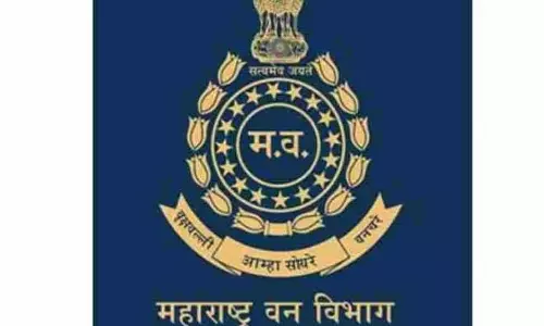 IFS अधिकारियों का प्रमोशन या कुर्सी का वज़न बढ़ना? IFS अधिकारियों का प्रमोशन या कुर्सी का वज़न बढ़ना?