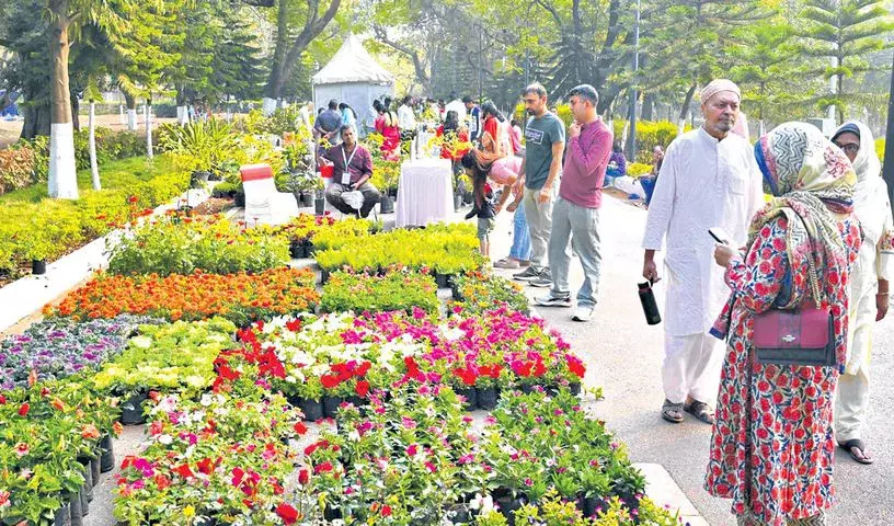 Hyderabad: उद्यान उत्सव 2026 के लिए राष्ट्रपति निलयम में 8000 आगंतुक पहुंचे Hyderabad: उद्यान उत्सव 2026 के लिए राष्ट्रपति निलयम में 8000 आगंतुक पहुंचे
