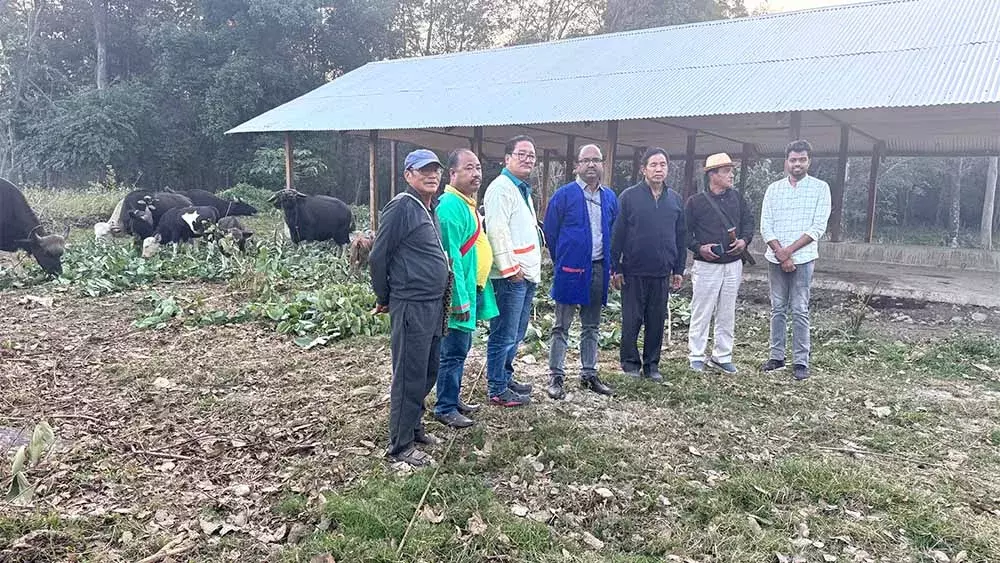 Nagaland : ICAR ने मिथुन पर किसान-वैज्ञानिक बातचीत की Nagaland : ICAR ने मिथुन पर किसान-वैज्ञानिक बातचीत की
