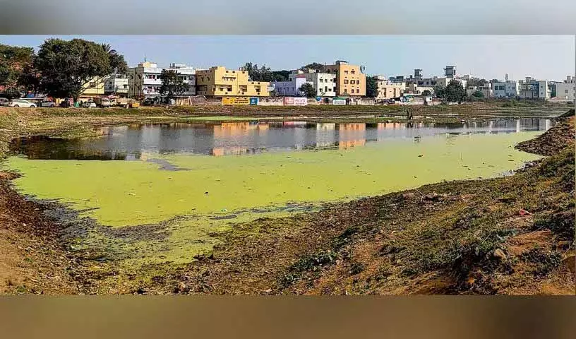Secunderabad की रमन्नाकुंटा झील शैवाल, अनदेखी और अतिक्रमण से परेशान है Secunderabad की रमन्नाकुंटा झील शैवाल, अनदेखी और अतिक्रमण से परेशान है