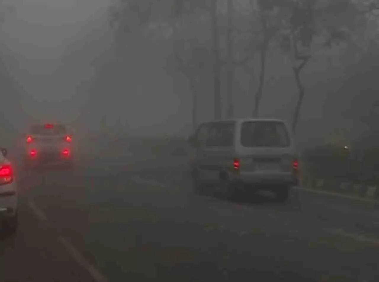Odisha में ठंड और घने कोहरे से जनजीवन प्रभावित Odisha में ठंड और घने कोहरे से जनजीवन प्रभावित