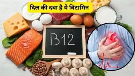 Vitamin B12 की कमी: शाकाहारी महिलाओं में अधिक खतरा Vitamin B12 की कमी: शाकाहारी महिलाओं में अधिक खतरा