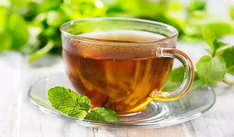 Green Tea वज़न घटाने में कैसे मदद करती Green Tea वज़न घटाने में कैसे मदद करती